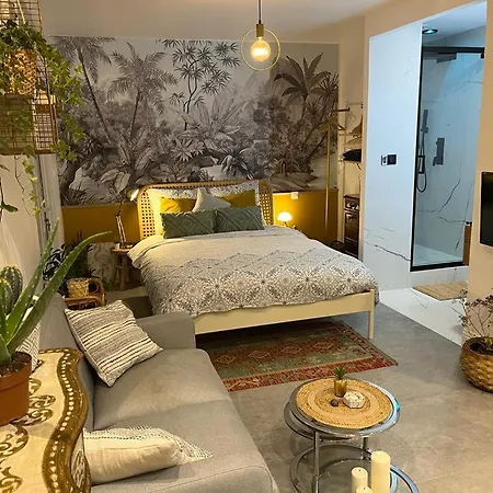 Superbe Avec Jacuzzi Avec Jardin Prive * Lyon